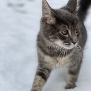Meet your Posher, Cassie
